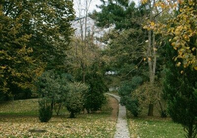 Deutscher Behindertenrat fordert mehr Tempo bei Barrierefreiheit